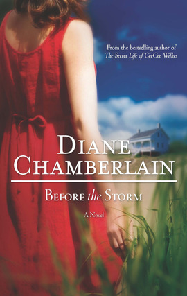Title details for Before the Storm by Diane Chamberlain - Wait list